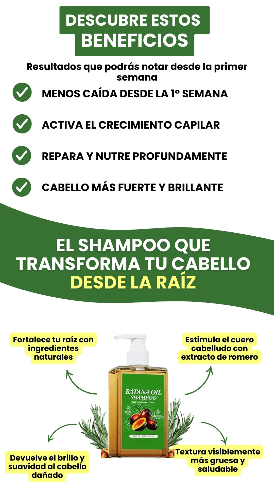¡Nuevo! Shampoo y aceite de batana - Secreto ancestral para un cabello fuerte y brillante